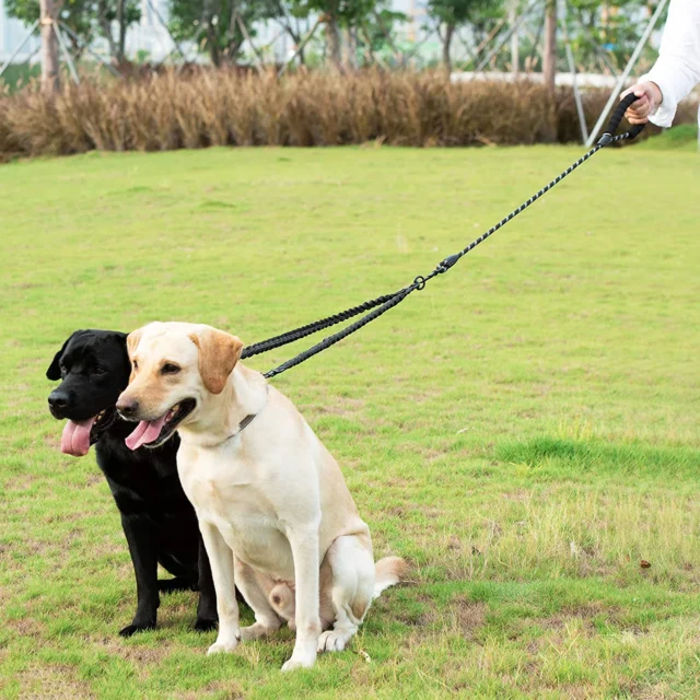 Guia dupla para cães refletiva - Imagem 2