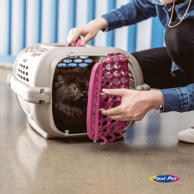 Caixa de Transporte para Cães e Gatos N°04 Sortida Plast Pet | 18 Kg - Imagem 2